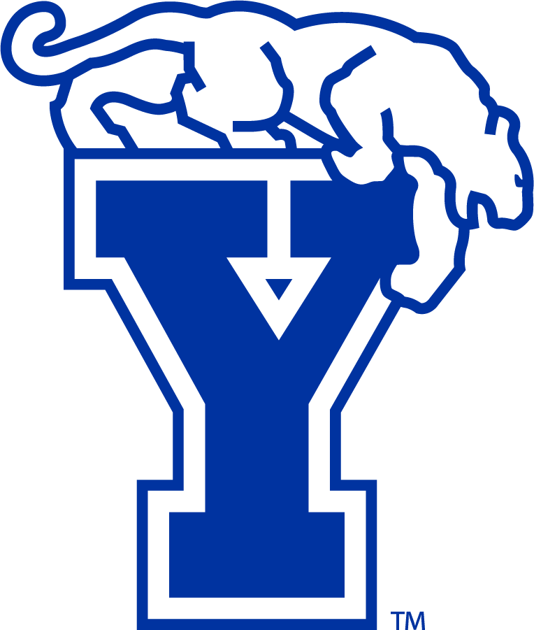 Brigham Young Cougars 1982-1999 Secondary Logo diy iron on heat transfer